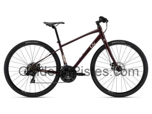 Giant Alight 3 Disc avis et fiche technique